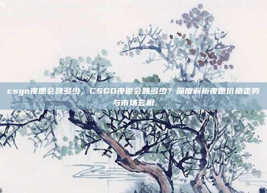csgo夜愿会跌多少,CSGO夜愿会跌多少?深度解析夜愿价格走势与市场玄机