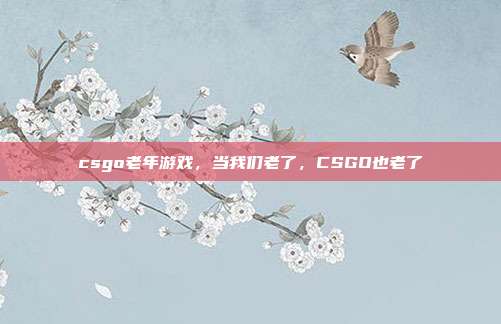 csgo老年游戏,当我们老了,CSGO也老了