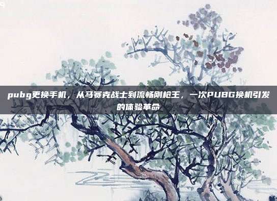 pubg更换手机,从马赛克战士到流畅刚枪王,一次PUBG换机引发的体验革命
