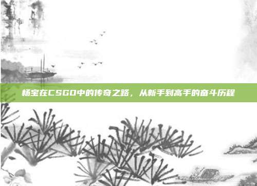 杨宝在CSGO中的传奇之路,从新手到高手的奋斗历程