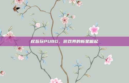 权旨玩PUBG,游戏界的新星崛起