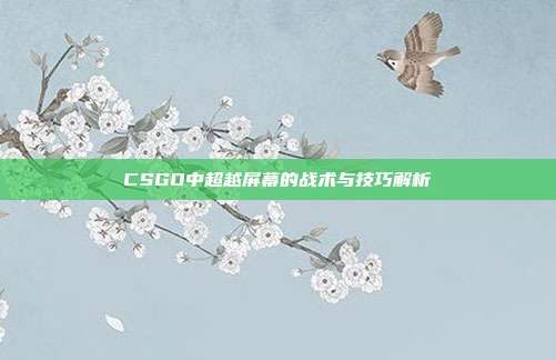CSGO中超越屏幕的战术与技巧解析