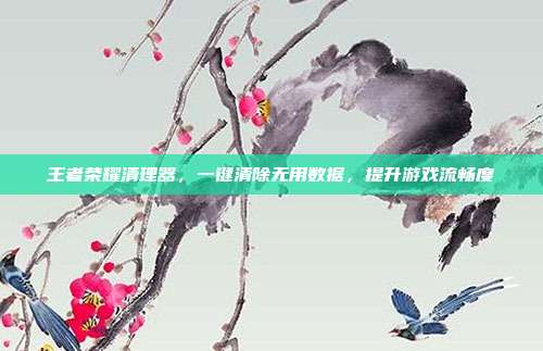 王者荣耀清理器,一键清除无用数据,提升游戏流畅度