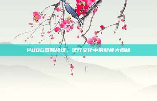 PUBG国际战场,流行文化中的新梗大揭秘