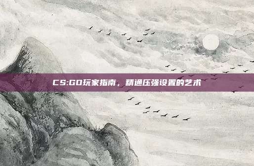 CS:GO玩家指南,精通压强设置的艺术