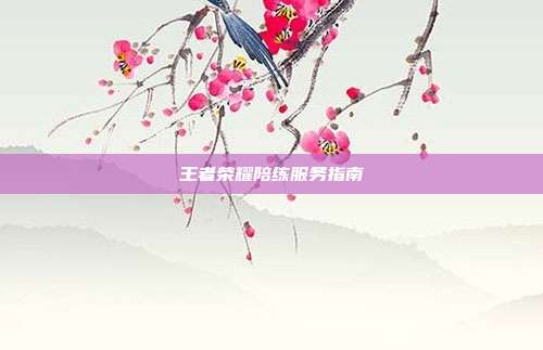 王者荣耀陪练服务指南