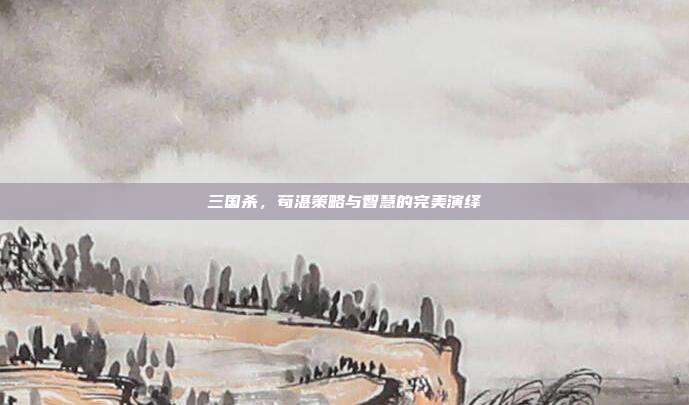 三国杀,苟湛策略与智慧的完美演绎