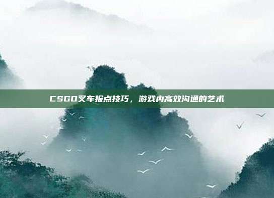 CSGO叉车报点技巧,游戏内高效沟通的艺术