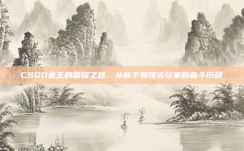CSGO金王的荣耀之路,从新手到顶尖玩家的奋斗历程