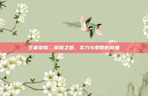 王者荣耀,荣耀之路,实力与策略的较量