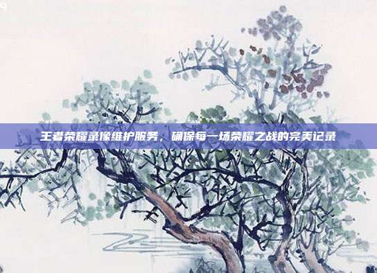 王者荣耀录像维护服务,确保每一场荣耀之战的完美记录