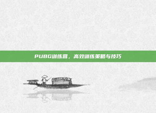 PUBG训练营,高效训练策略与技巧