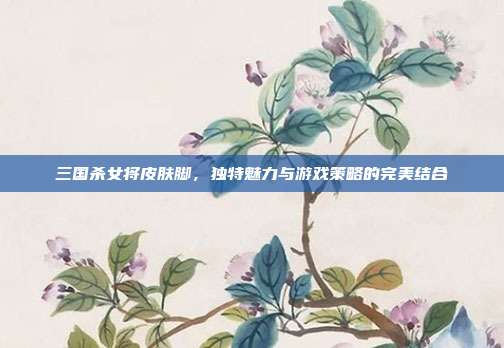 三国杀女将皮肤脚,独特魅力与游戏策略的完美结合