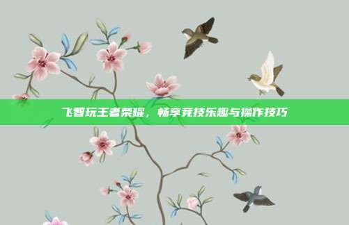 飞智玩王者荣耀,畅享竞技乐趣与操作技巧