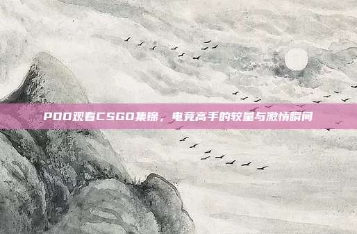 PDD观看CSGO集锦,电竞高手的较量与激情瞬间