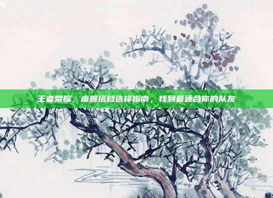 王者荣耀,虞姬搭档选择指南,找到最适合你的队友