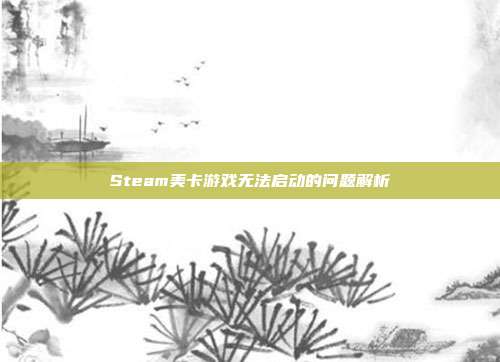 Steam美卡游戏无法启动的问题解析