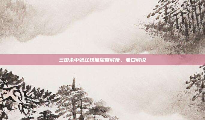 三国杀中张辽技能深度解析,老白解说