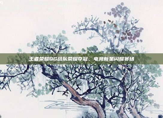 王者荣耀QG战队荣耀夺冠,电竞新星闪耀赛场
