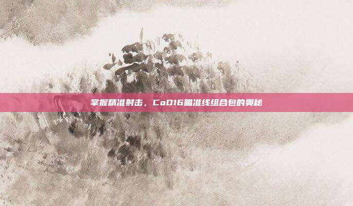 掌握精准射击,CoD16瞄准线组合包的奥秘