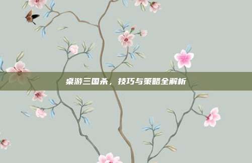 桌游三国杀,技巧与策略全解析