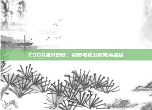 CSGO准将勋章,荣誉与挑战的完美融合