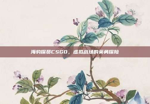 海豹探员CSGO,虚拟战场的英勇探险