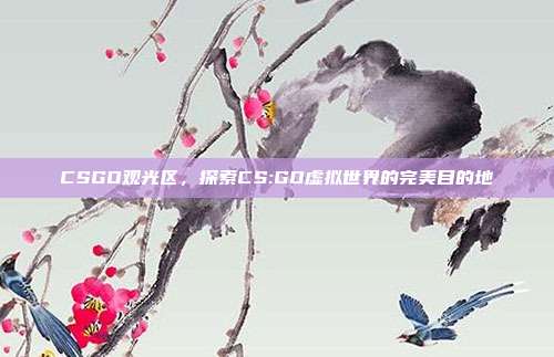 CSGO观光区,探索CS:GO虚拟世界的完美目的地