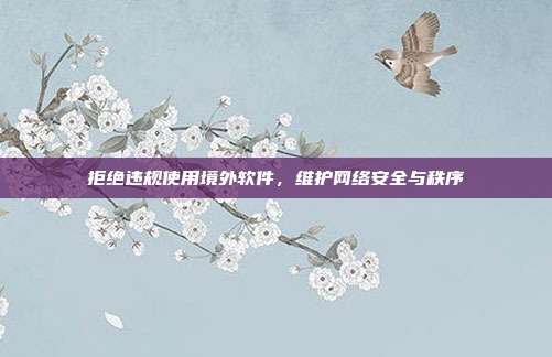 拒绝违规使用境外软件,维护网络安全与秩序