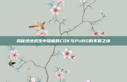 揭秘绝地求生中隐藏的CDK与PUBG的不解之缘