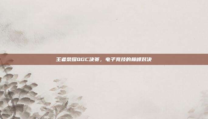 王者荣耀QGC决赛,电子竞技的巅峰对决