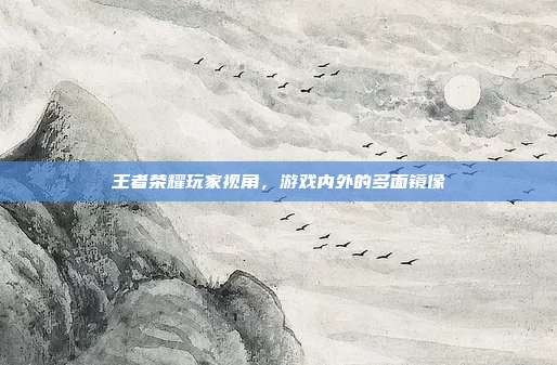 王者荣耀玩家视角,游戏内外的多面镜像