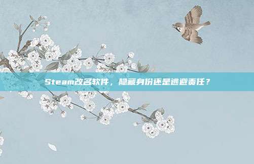 Steam改名软件,隐藏身份还是逃避责任?
