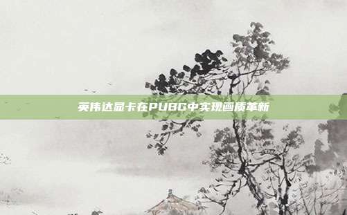 英伟达显卡在PUBG中实现画质革新