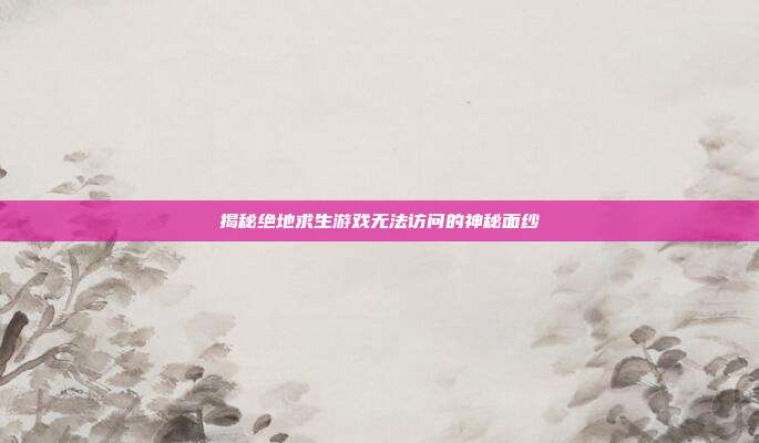 揭秘绝地求生游戏无法访问的神秘面纱