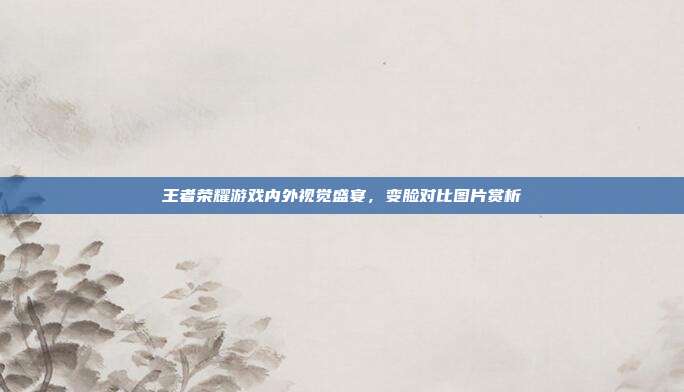 王者荣耀游戏内外视觉盛宴,变脸对比图片赏析