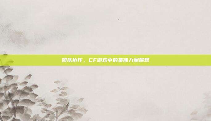 团队协作,CF游戏中的集体力量展现