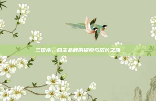 三国杀,自主品牌的探索与成长之旅