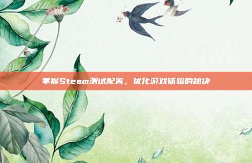 掌握Steam测试配置,优化游戏体验的秘诀