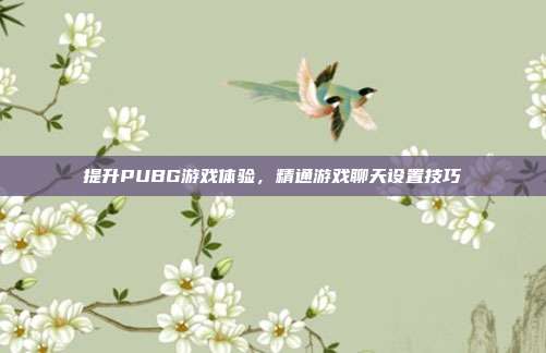 提升PUBG游戏体验,精通游戏聊天设置技巧
