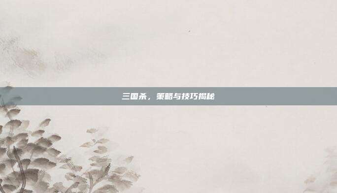 三国杀,策略与技巧揭秘