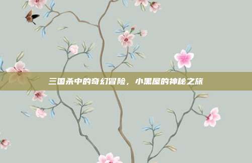 三国杀中的奇幻冒险,小黑屋的神秘之旅