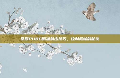 掌握PUBG精准射击技巧,控制枪械的秘诀