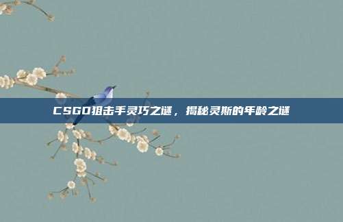 CSGO狙击手灵巧之谜,揭秘灵斯的年龄之谜