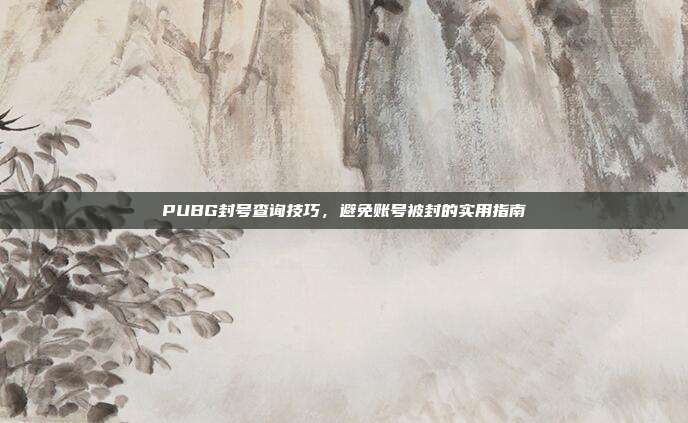 PUBG封号查询技巧,避免账号被封的实用指南