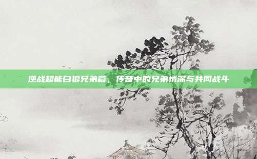 逆战超能白狼兄弟篇,传奇中的兄弟情深与共同战斗