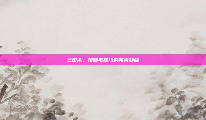 三国杀,策略与技巧的完美融合