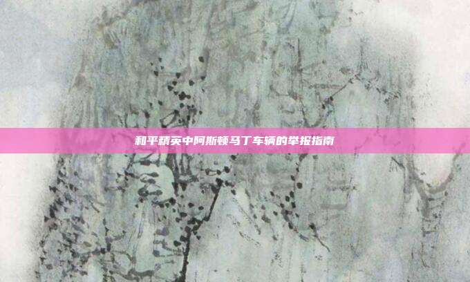 和平精英中阿斯顿马丁车辆的举报指南