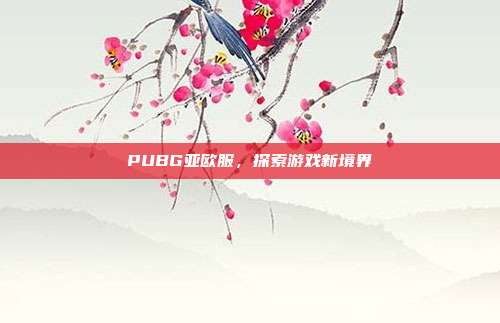 PUBG亚欧服,探索游戏新境界