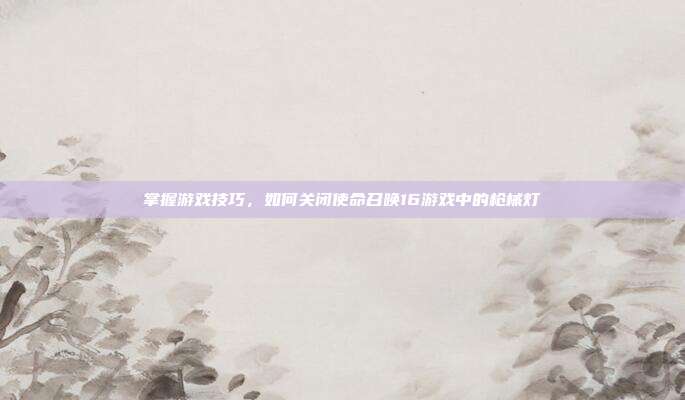 掌握游戏技巧,如何关闭使命召唤16游戏中的枪械灯